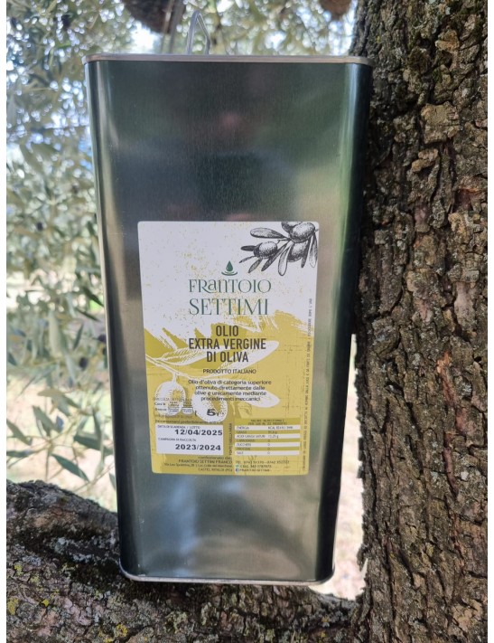 copy of Olio Extra Vergine di Oliva EVO in lattina 5 Litri  2025/2026